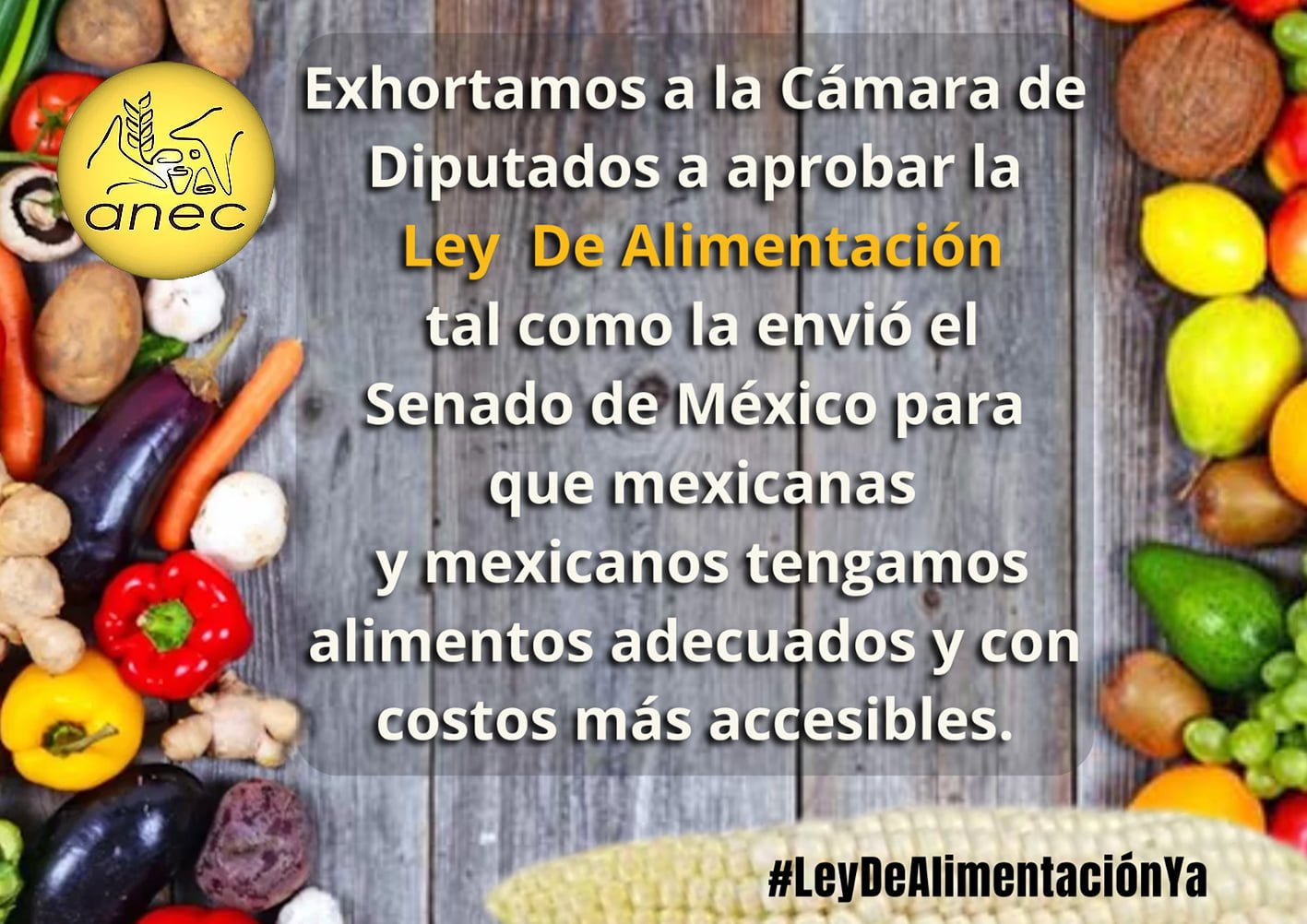 leydealimentacion1web