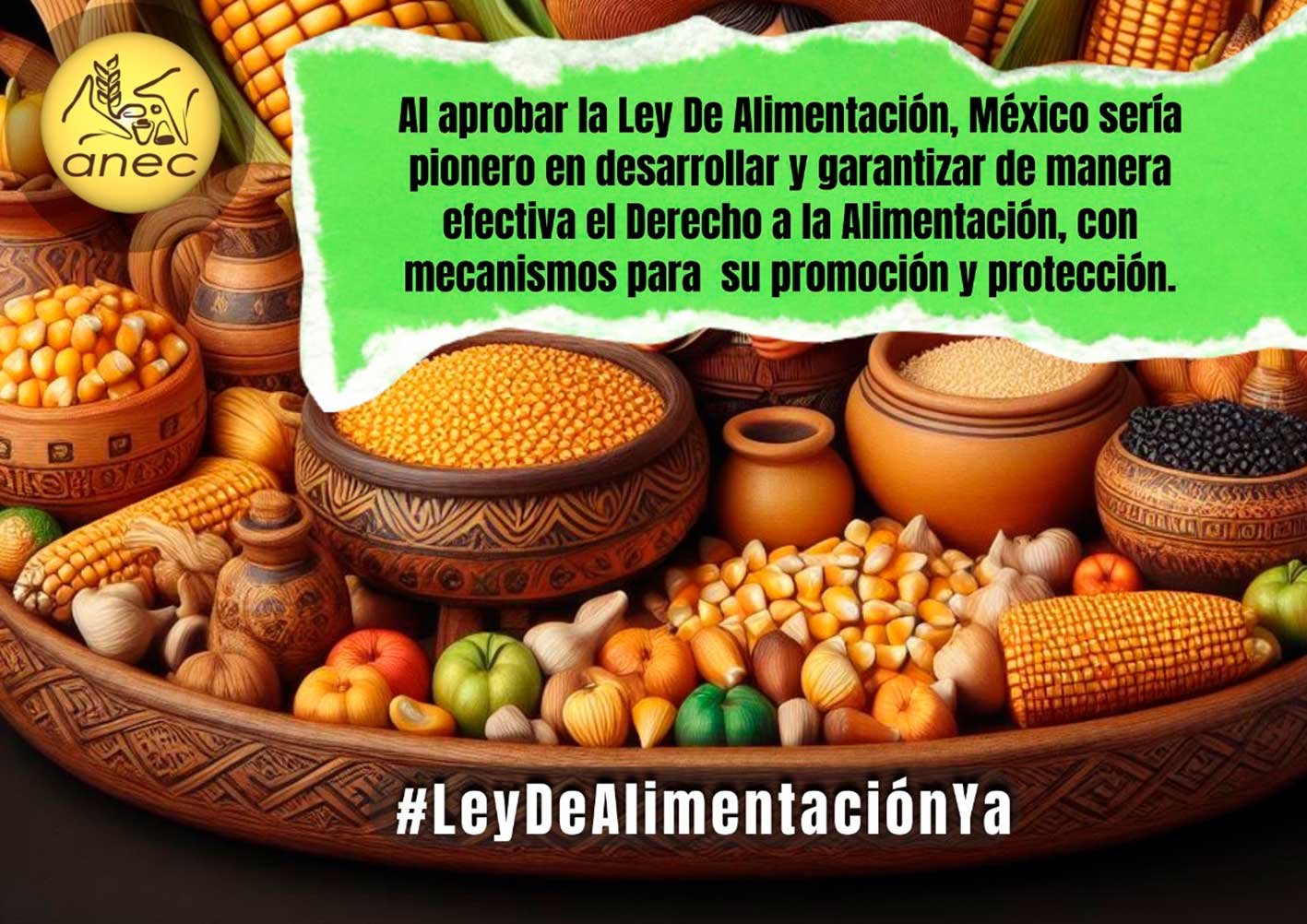 leydealimentacion3web